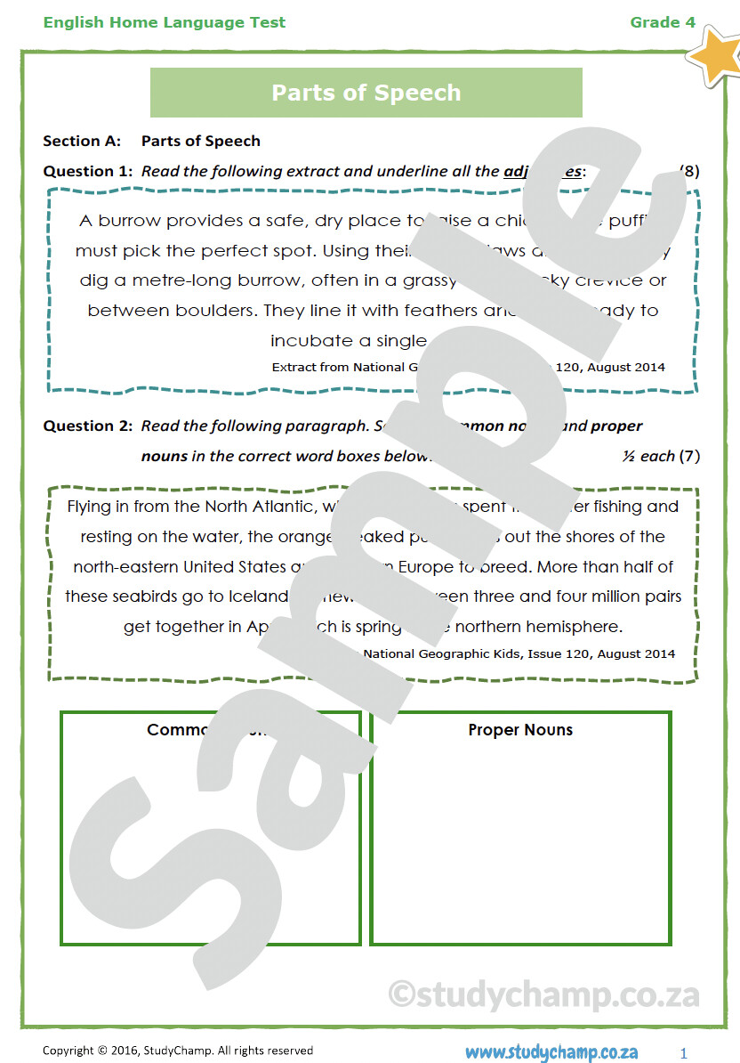 Grade 4 English Test: Rainforests