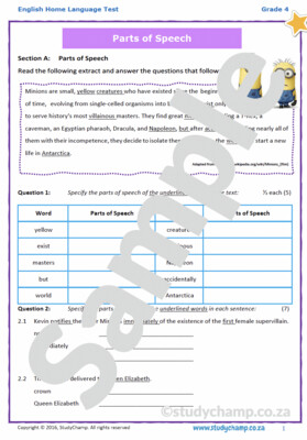 Grade 4 English Test: Minions