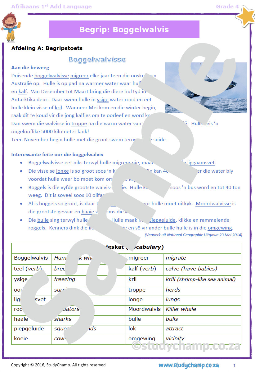 Grade 4 Afrikaans Toets: Boggelwalvis
