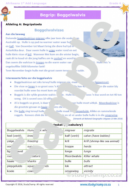 Grade 4 Afrikaans Toets: Boggelwalvis