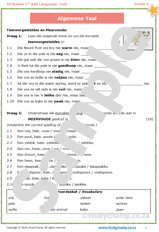 Grade 4 Afrikaans Toets: Algemene Taal