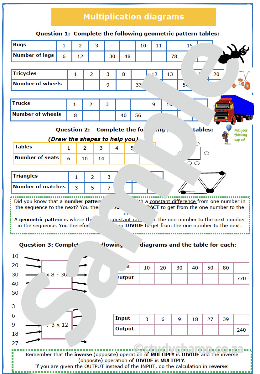 Grade 5 Mathematics Workbook: Multiplication and Division