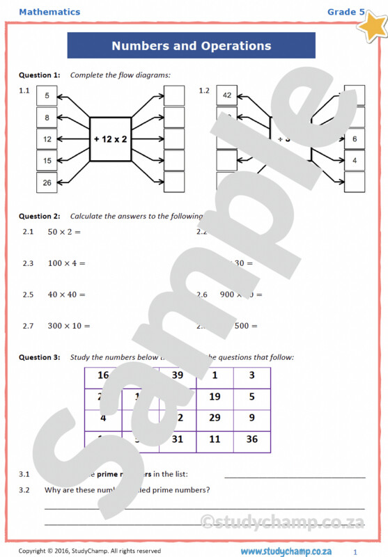 Grade 5 Mathematics Test: Mixed Concepts 4