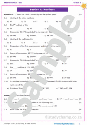 Grade 5 Mathematics Test: Mixed Concepts 6