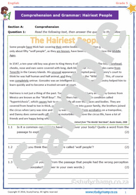 Grade 5 English Test: Comprehension and Language in Context 1