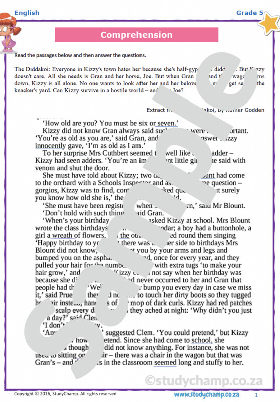 Grade 5 English Year-end Exam: Exam Practice Paper