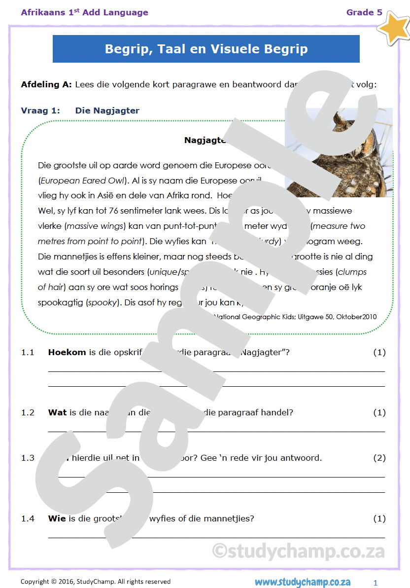 Grade 5 Afrikaans Begrip en Visuele Begrip