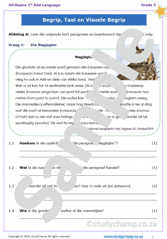 Grade 5 Afrikaans Begrip en Visuele Begrip