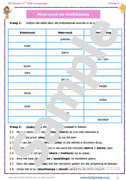 Grade 5 Afrikaans: Meervoud en Verkleining