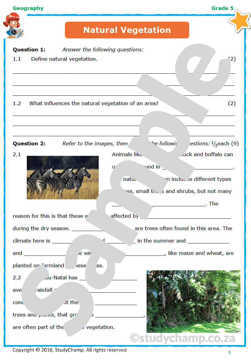 Grade 5 Geography Test Natural Vegetation grade-5-geography-test-natural-vegetation