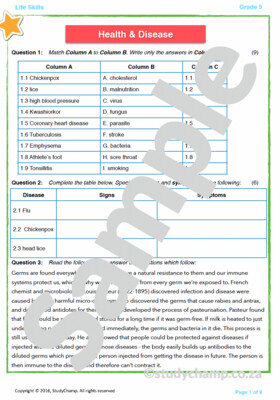 Grade 5 Life Orientation Test: Health and Diseases