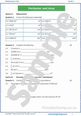 Grade 7 Mathematics Test: Measurement, Perimeter and Area