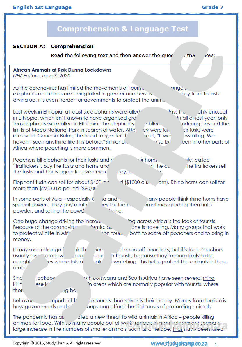 Grade 7 English Test: Animals and COVID-19