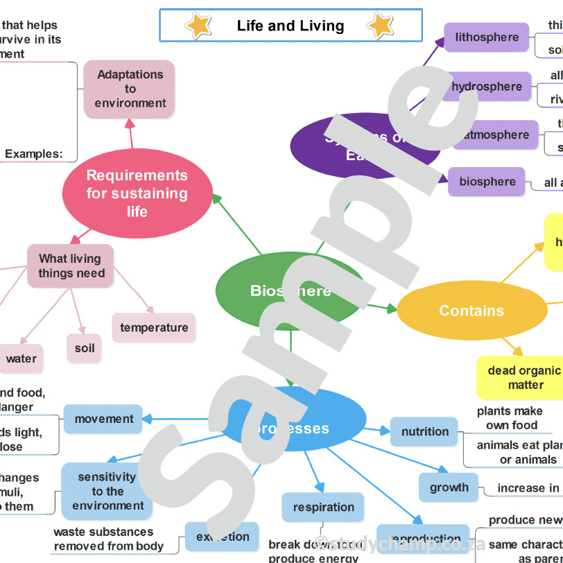 Grade 7 Natural Sciences Summary: Biosphere and Biodiversity