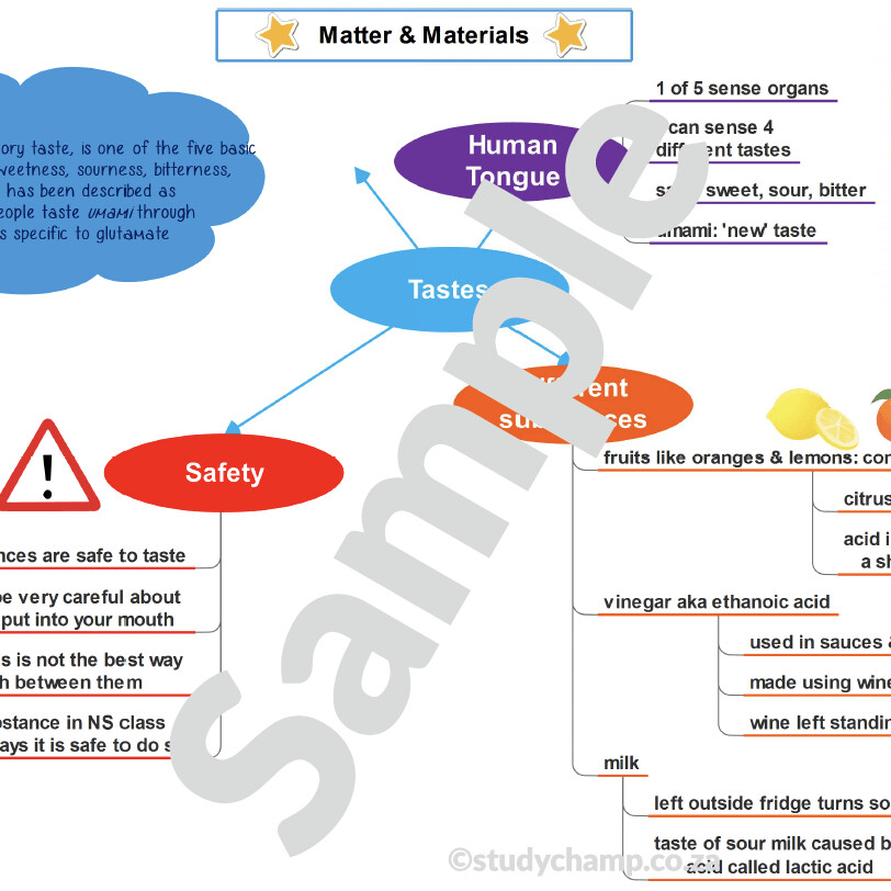 Grade 7 Natural Sciences Summary: Acids and Bases