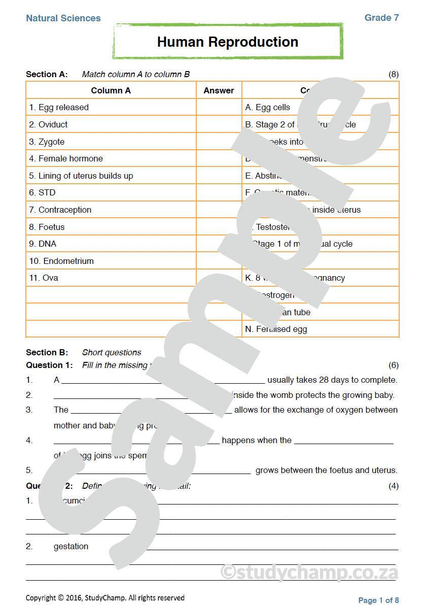 Grade 7 Natural Sciences Test Human Reproduction