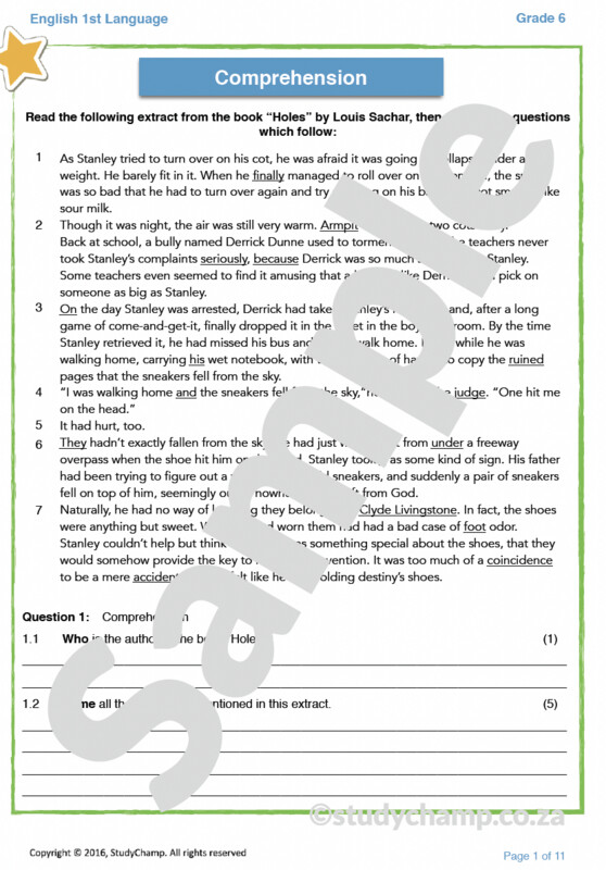 Grade 6 English Comprehension and Language: Holes