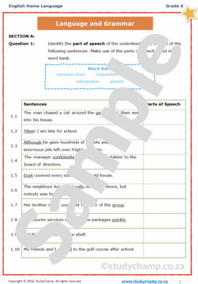 Grade 6 English Test: Language and Grammar