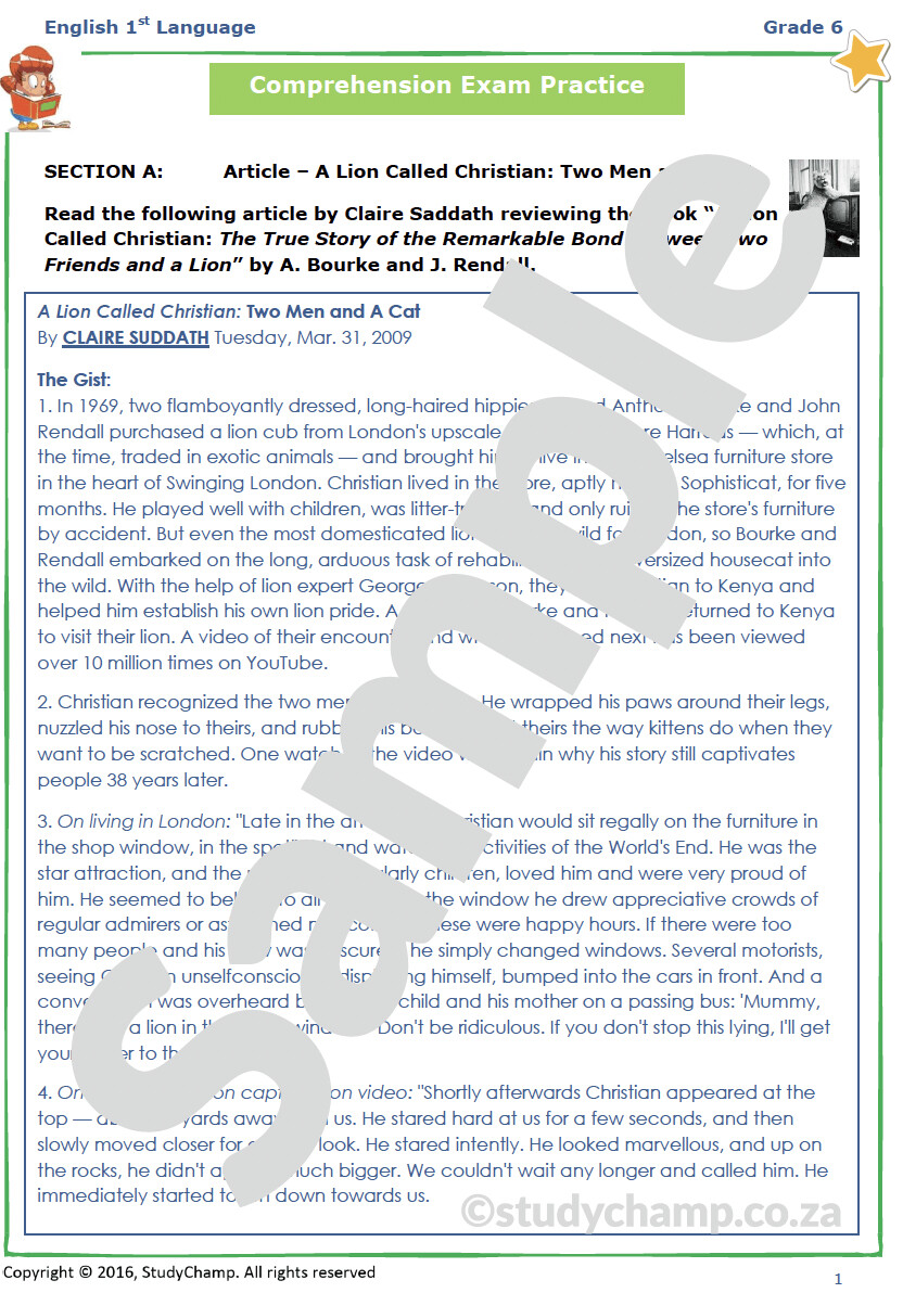 Grade 6 English Year-end Exam Revision: Comprehension