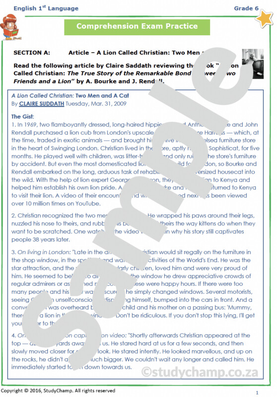 Grade 6 English Year-end Exam Revision: Comprehension