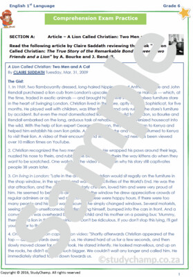 Grade 6 English Year-end Exam Revision: Comprehension