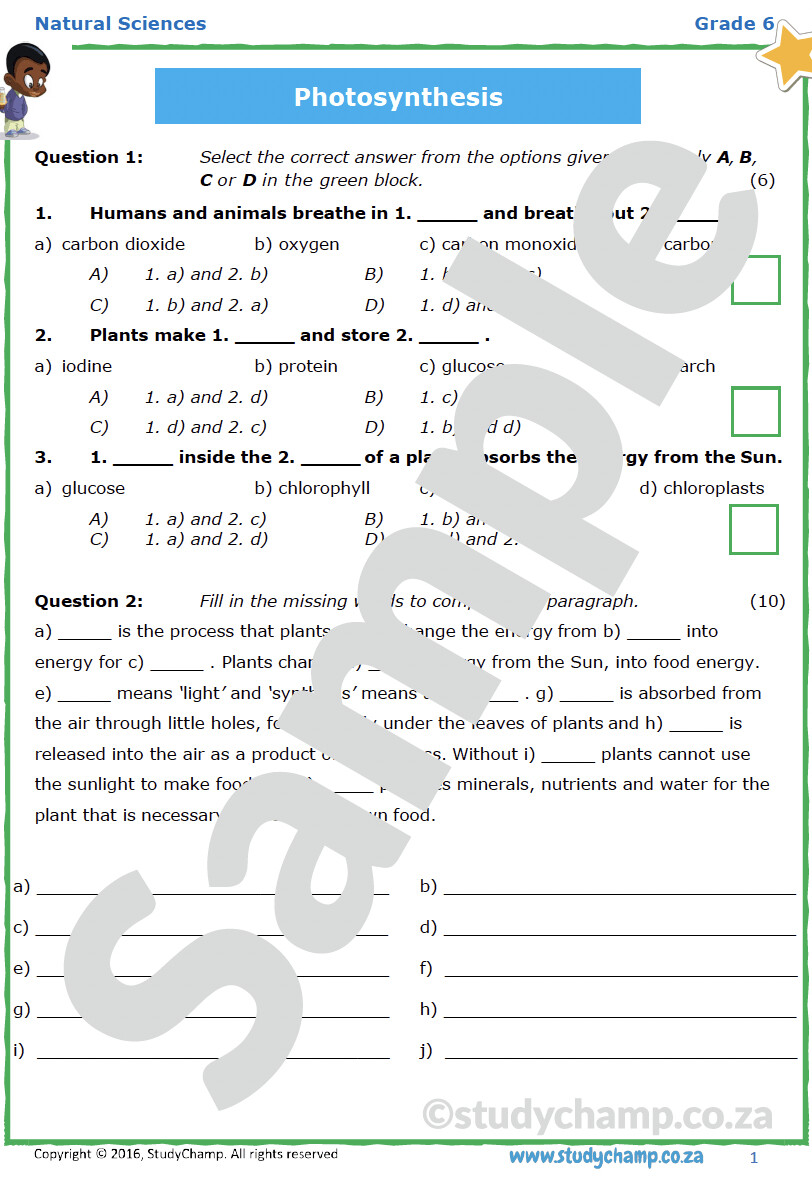 Grade 6 Natural Sciences Test Photosynthesis grade-6-natural-sciences-test-photosynthesis