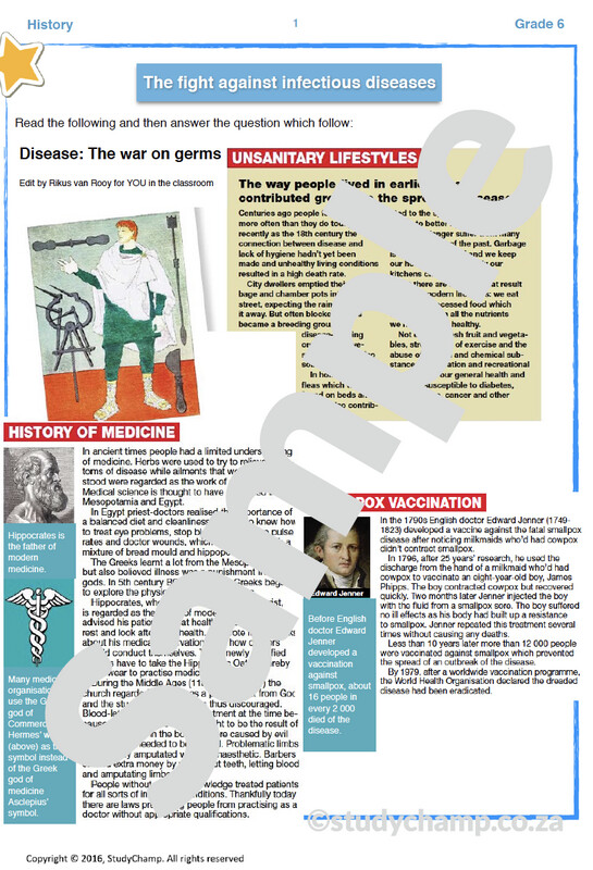 Grade 6 History Worksheet: Diseases
