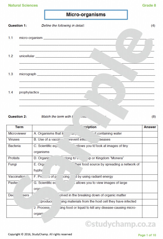 Grade 8 Natural Sciences Test: Micro-organisms