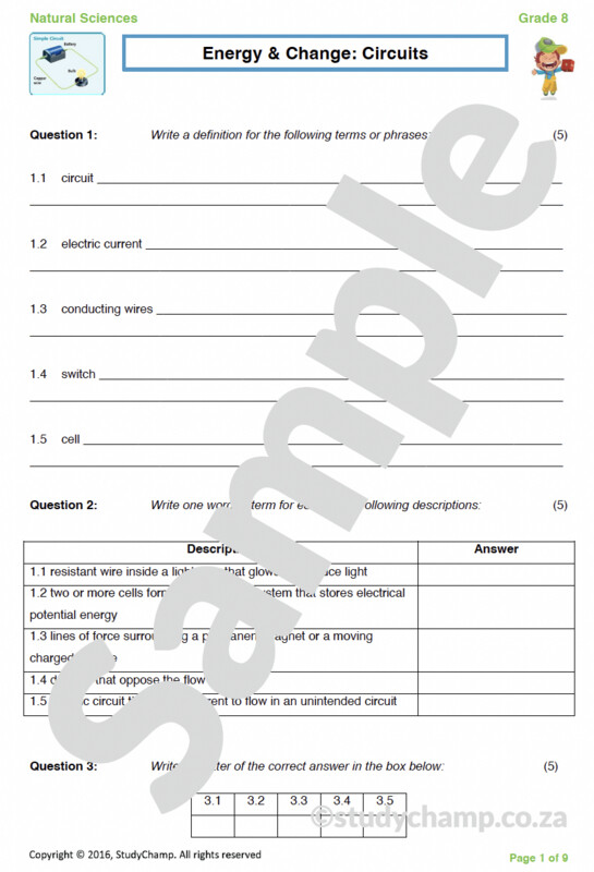 Grade 8 Natural Sciences Test: Electrical Circuits