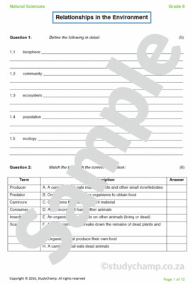 Grade 8 Natural Sciences Test: Relationships in the Environment A