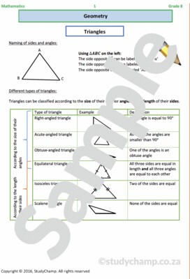 Grade 8 Mathematics Workbook: Geometry - Triangles