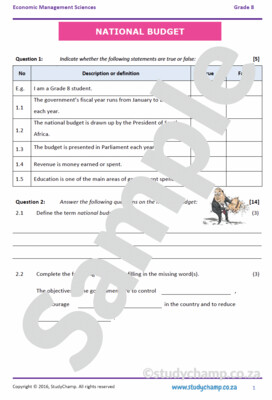 Grade 8 Economic and Management Sciences Bundle