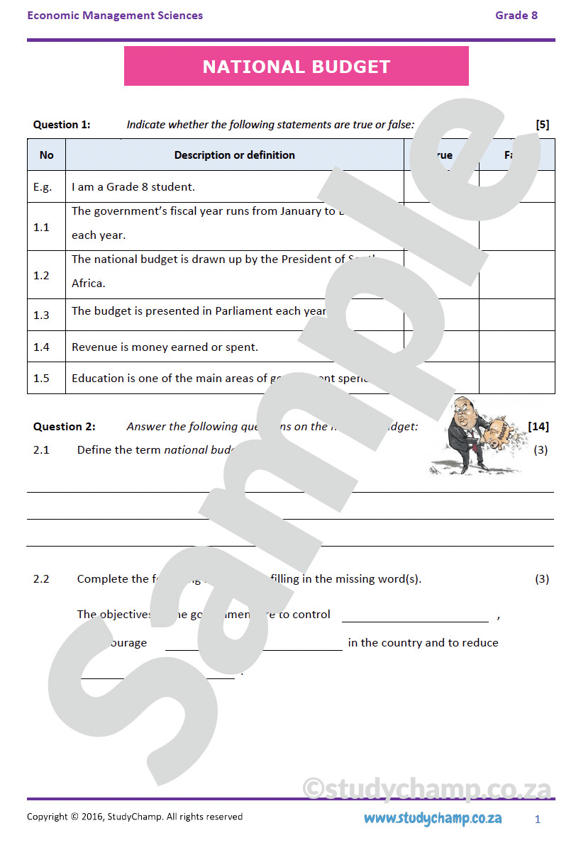 Grade 8 EMS Test: National Budget