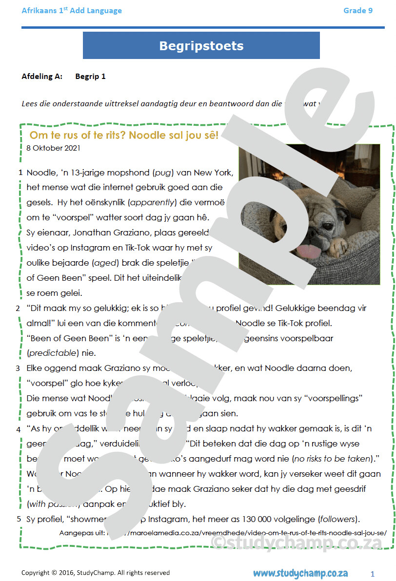 Grade 9 Afrikaans Year-end Exam Revision: Begrip en Taal
