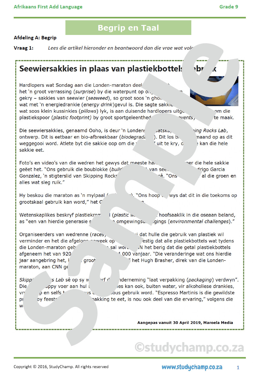 Grade 9 Afrikaans Mid-year Exam Revision: Begrip en Taal