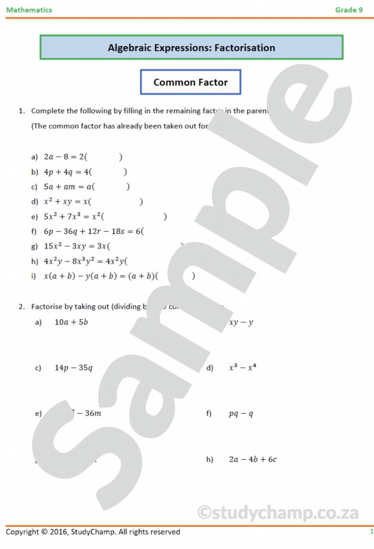 Grade 9 Mathematics Workbook: Factorisation