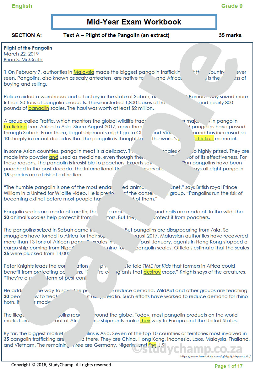 Grade 9 English Mid-year Exam Revision: Comprehension and Language