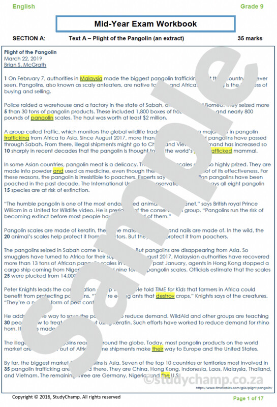 Grade 9 English Mid-year Exam Revision: Comprehension and Language