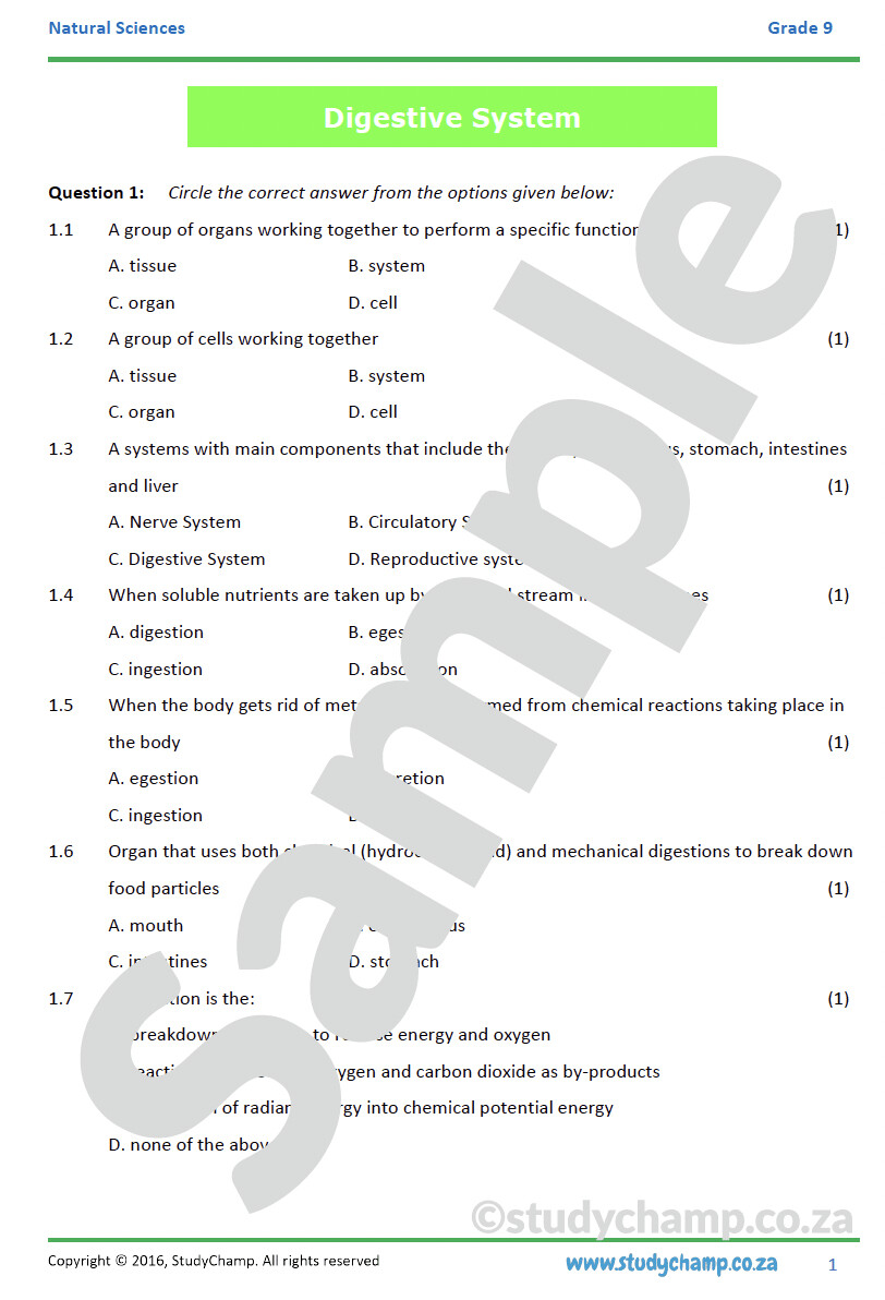 Grade 9 Natural Sciences Test Digestive System grade-9-natural-sciences-test-digestive-system