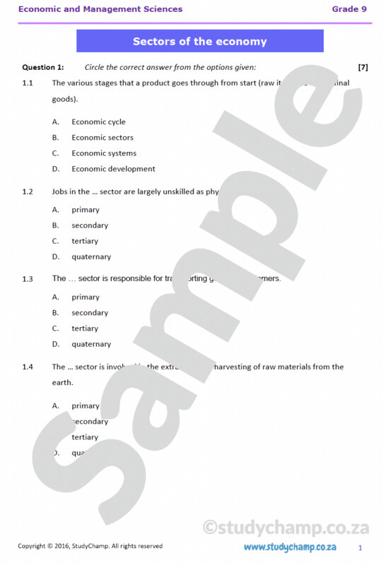 Grade 9 EMS Test: Sectors of the Economy