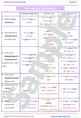 Grade 10 Afrikaans: Tye van die Werkwoord