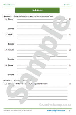 Grade 6 Natural Sciences Test: Solutions