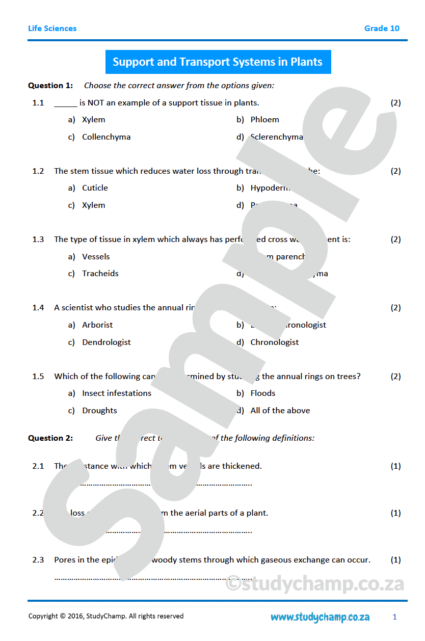 Grade 10 Life Sciences: Support and Transport Systems in Plants