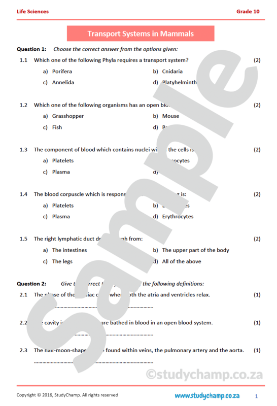 Grade 10 Life Sciences: Transport Systems in Mammals