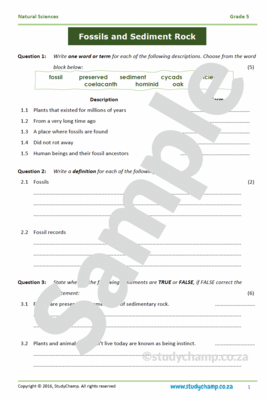 Grade 5 Natural Sciences Test: Fossils and Sedimentary Rock