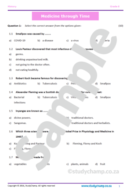 Grade 6 History Test: Medicine through time