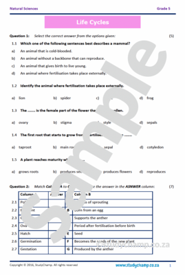 Grade 5 Natural Sciences Test: Life Cycles of plants and animals