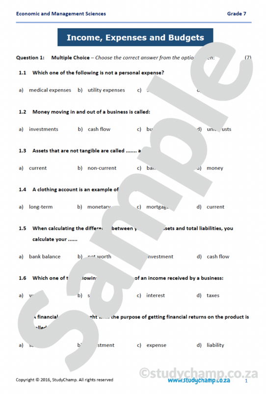 Grade 7 EMS Test: Income, Expenses and Budgets