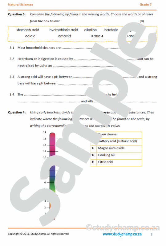 Grade 7 Natural Sciences Test: Acids, Bases and neutral substances
