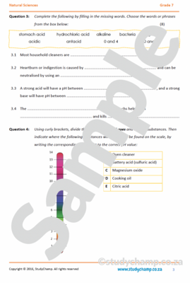 Grade 7 Natural Sciences Test: Acids, Bases and neutral substances